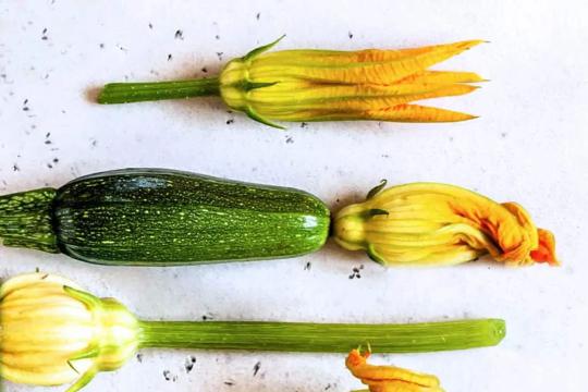 Kabak Çiçeği Dolması Nedir, Nasıl Yapılır?