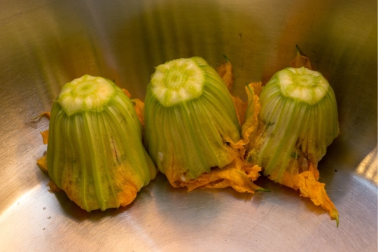 Kabak Çiçeği Dolması Neden Acı Olur?