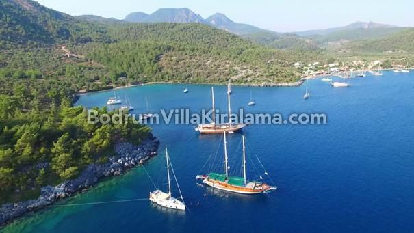 Çökertme Koyu Nerede, Nasıl Gidilir? - Bodrum Villa Kiralama Blog