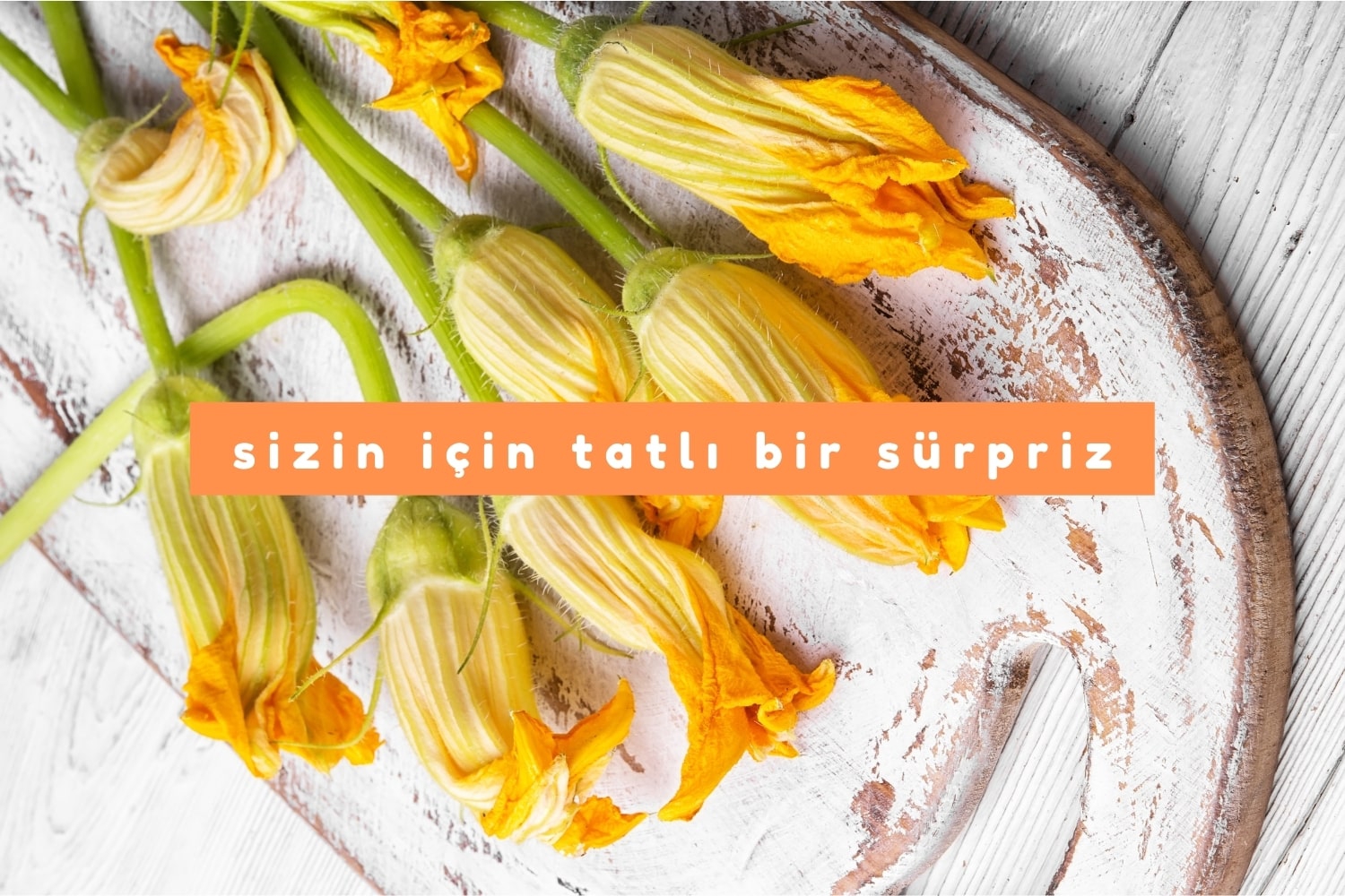 Bodrum’un Meşhur Tatlıları (Detaylı Liste)