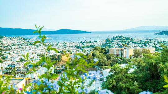 Villa Amazon & Bodrum Yalıkavak Kiralık Villalar