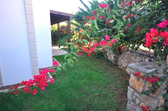 Villa Defne | Bodrum Kiralık Villalar | Bodrum Villa Kiralama