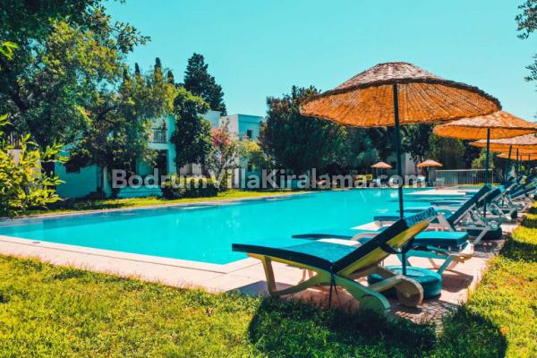 Birdsong Apartment Garden