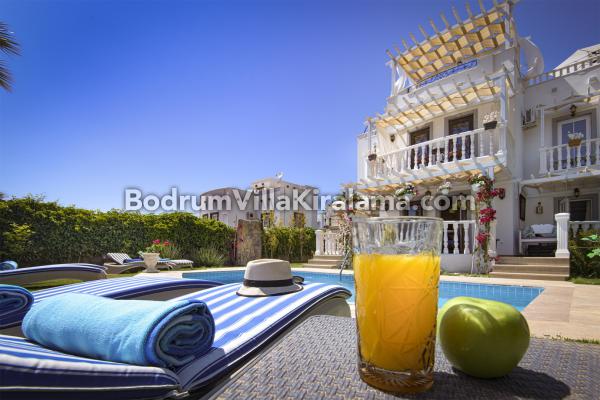 Vintage Villa